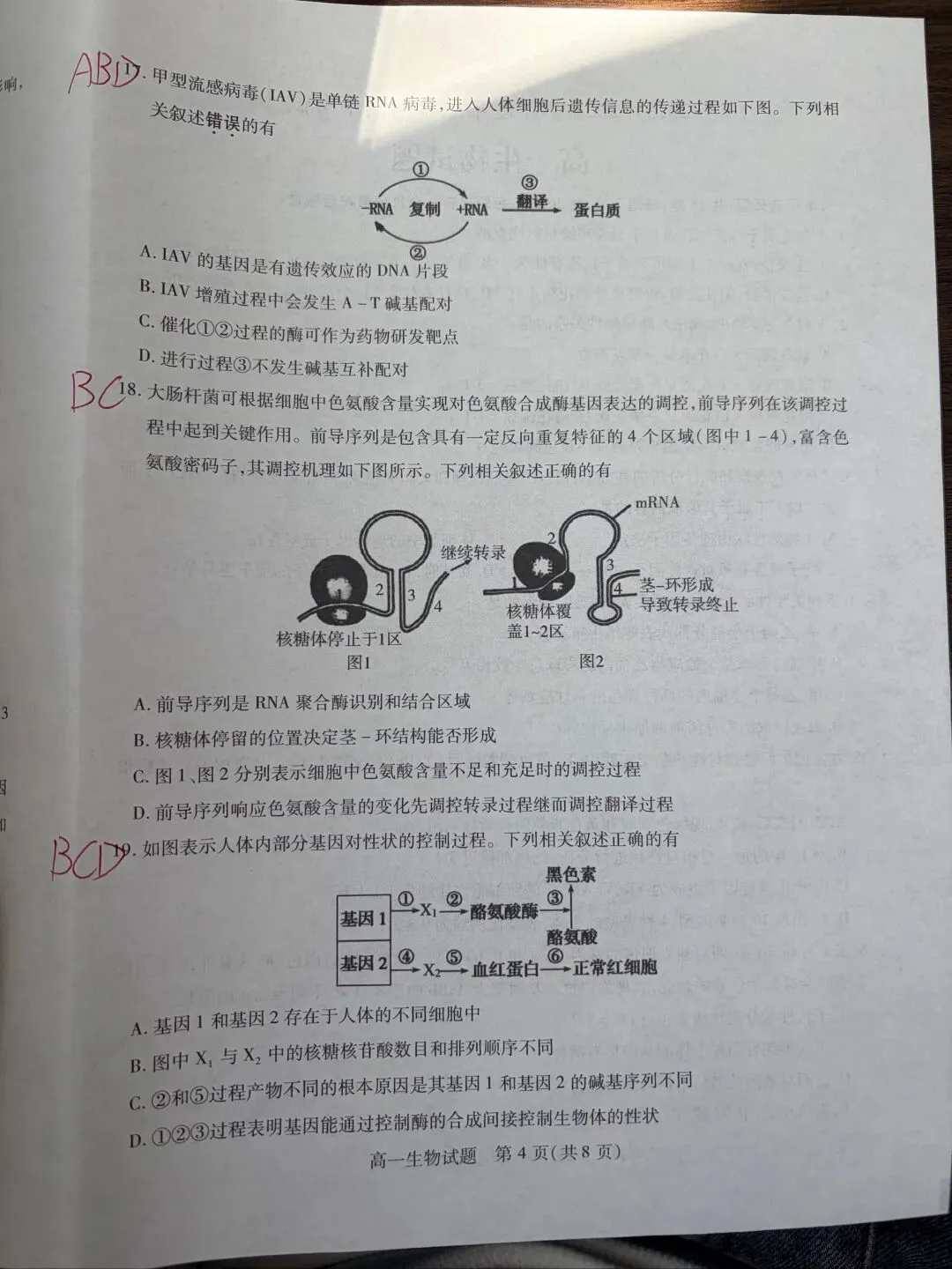 期中考试试卷及答案 第4张