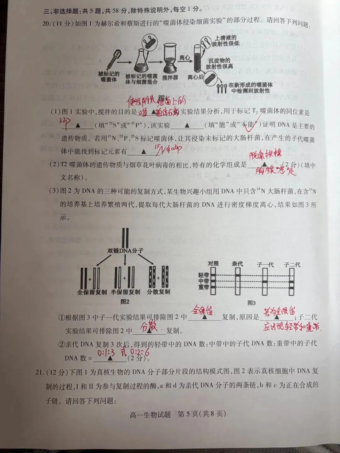 期中考试试卷及答案 第5张