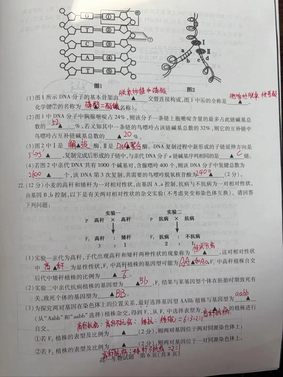期中考试试卷及答案 第6张