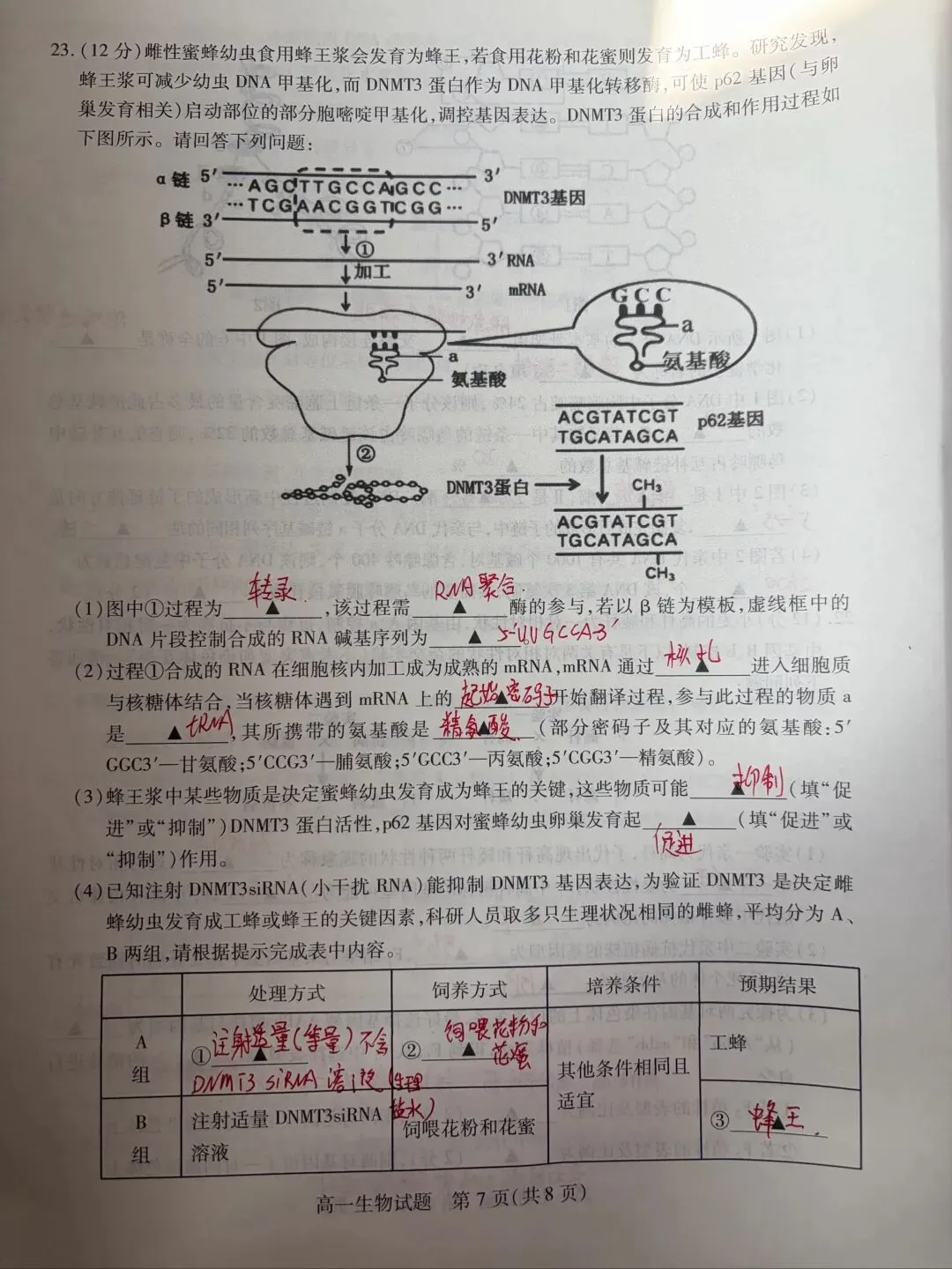 期中考试试卷及答案 第7张