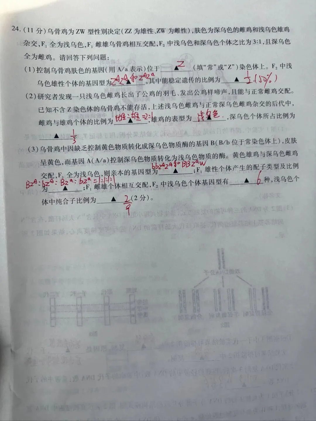 期中考试试卷及答案 第8张