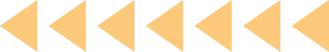 宣城市中考历史复习教学研讨活动暨宣城市长三角陈忠良名师工作室研修活动顺利举行 第5张