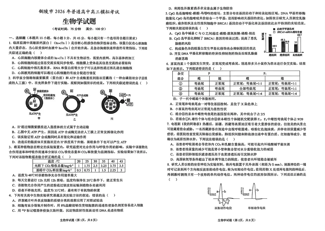 【高三试卷】安徽省铜陵、黄山、宣城(三市二模)2026届高三4月份质量检测(全科) 第1张