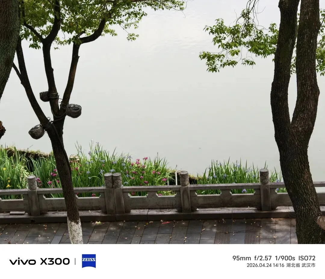 2026年武汉中考实用类文本阅读(仿四调)专题练习 第1张