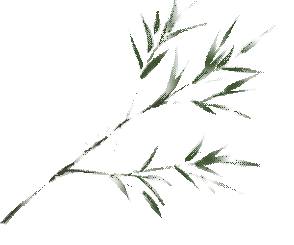 教研动态 | 文心深处探中考,青云之上话语文——2026年醴陵市初中语文复习备考研讨会圆满举行 第3张