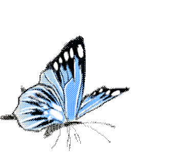 教研动态 | 文心深处探中考,青云之上话语文——2026年醴陵市初中语文复习备考研讨会圆满举行 第7张