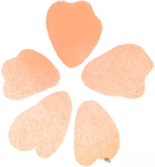 2026苏州高一、高二下学期期中考真题出炉 第4张