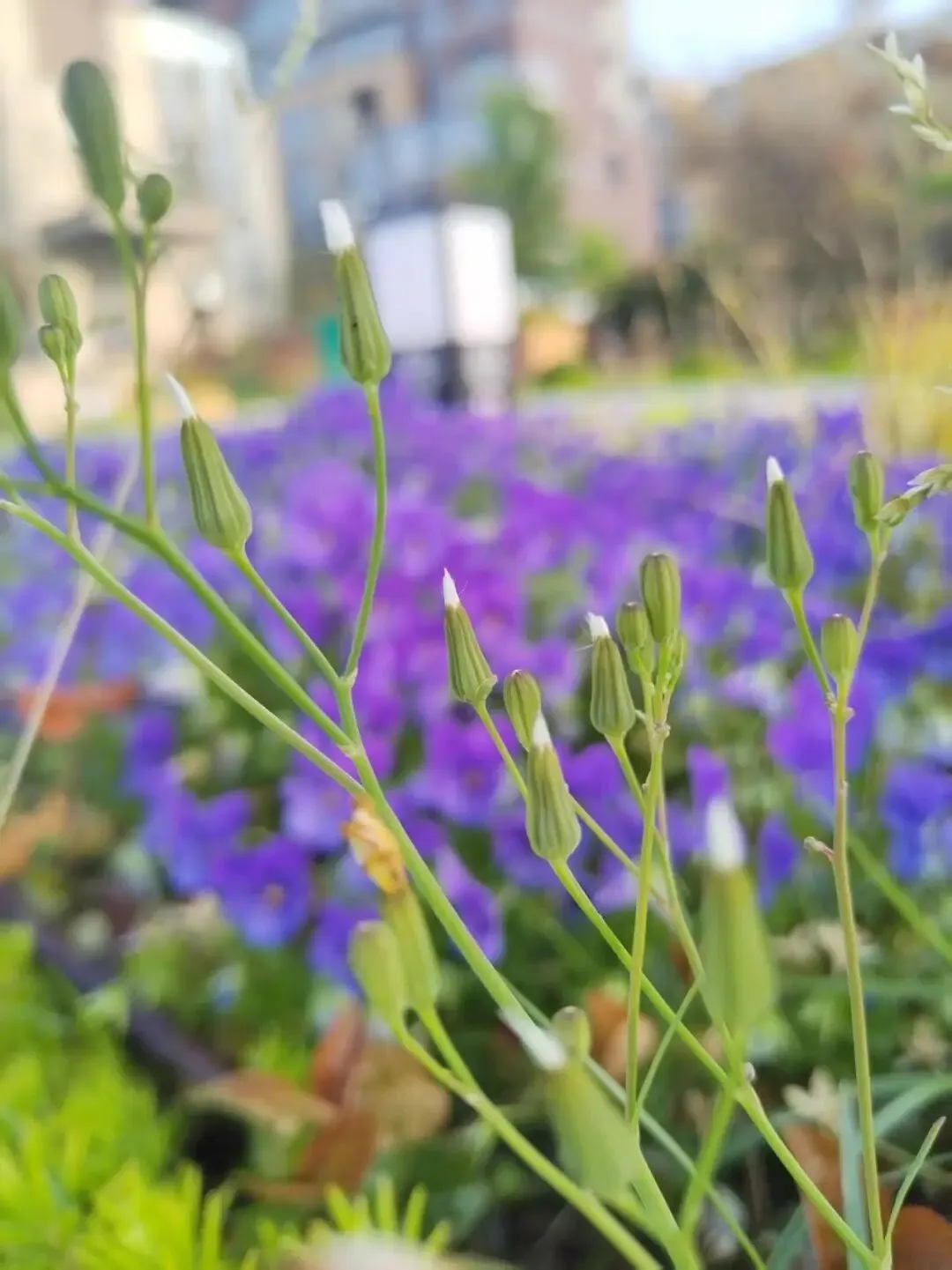 2026开封中考一模数学试卷难度系数分析 第1张