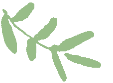 【崇德七中 护航中考】践初心办实事 暖护航助成长——集贤县第七中学体育考试爱心护航纪实 第23张