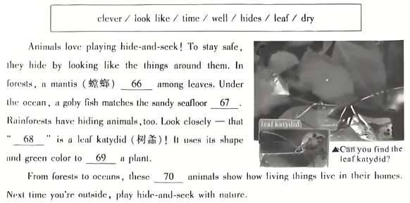 2026年武汉市九年级四调英语试卷分析及中考备考建议 第16张