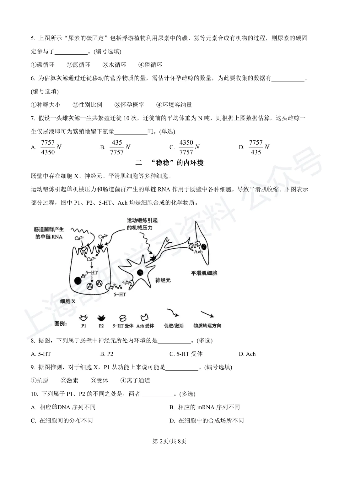 2025等级考真题卷、26届高三二模卷答案!已更新! 第19张