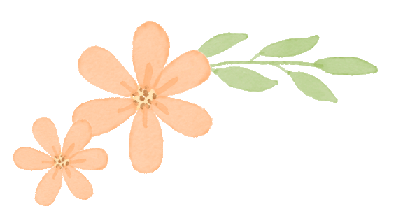 从省适应性考试到高考:河南物理三套真题的对比与备考思路 第8张