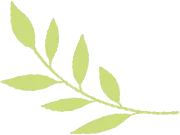 【2026年中考数学二模】嘉定区「解读」 第2张