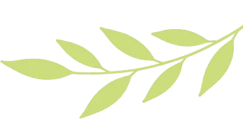 【2026年中考数学二模】嘉定区「解读」 第6张