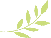 【2026年中考数学二模】嘉定区「解读」 第10张