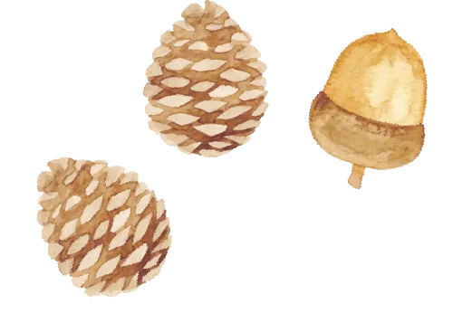 2026版53中考总复习全国版五年中考三年模拟 第4张