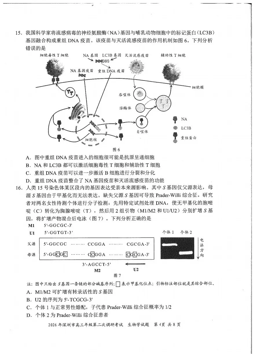 10科齐全!2026深圳高三二模各科试卷+答案公布! 第105张