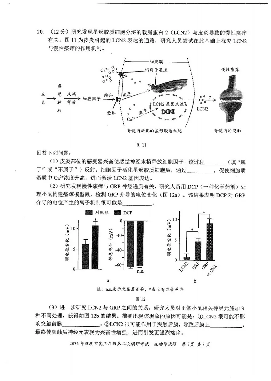 10科齐全!2026深圳高三二模各科试卷+答案公布! 第108张