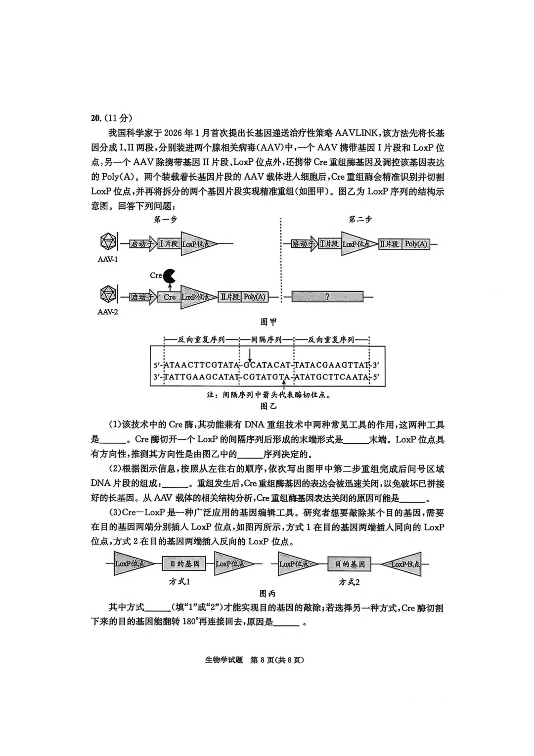 四川省成都市2023级高三第二次模拟测试生物学试卷 第8张