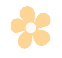 立足中考复习 共研高效备考——庐阳区物理学科举行毕业班教学工作研讨会 第15张