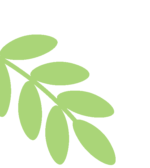 名师领航明方向,研思共进备中考——浙江省“百人千场”送教常山初中语文、数学专场 第5张