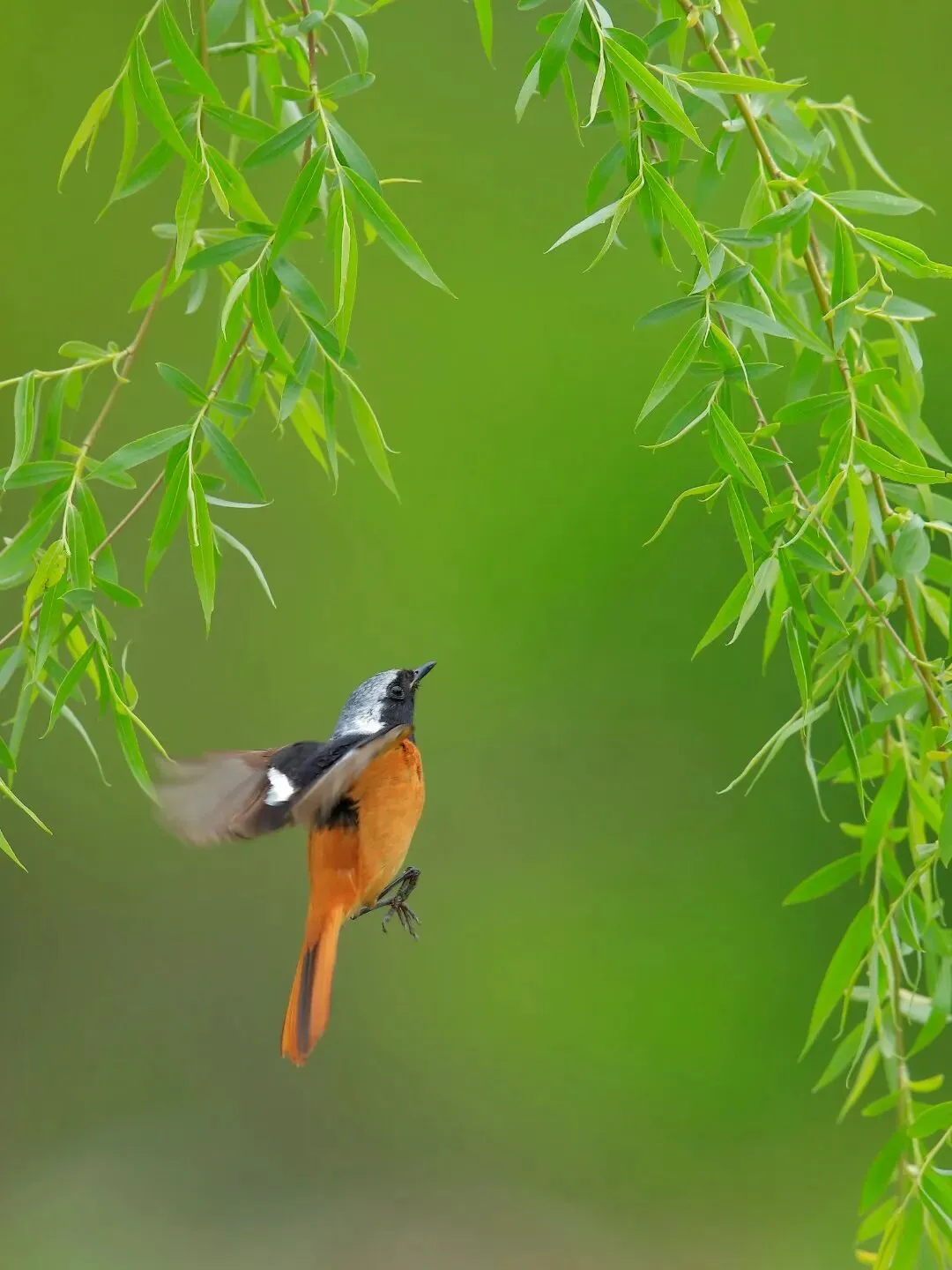 2026年邢台市一模英语试卷深度解析 第2张