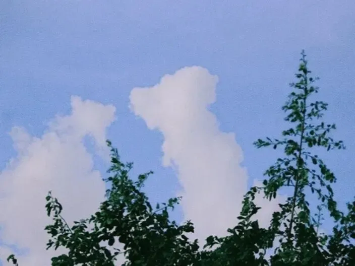 家长要试卷电子版被拒引骂战!网友吵翻:是家长不懂尊重,还是老师刻意摆谱? 第6张