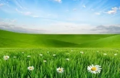 2026年年上海市松江区初三语文二模试卷及答案 第1张