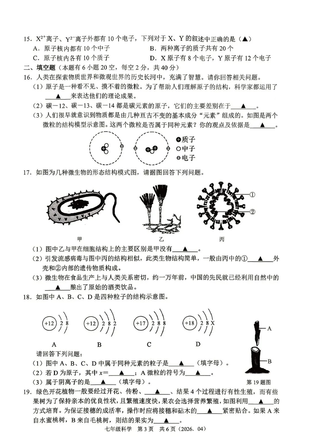 7下期中考 | 杭州市余杭区、临平区七年级期中「全科」试题 第6张
