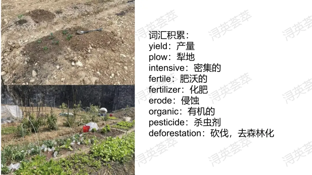 2026年九江二模试卷讲评课例分享 第11张