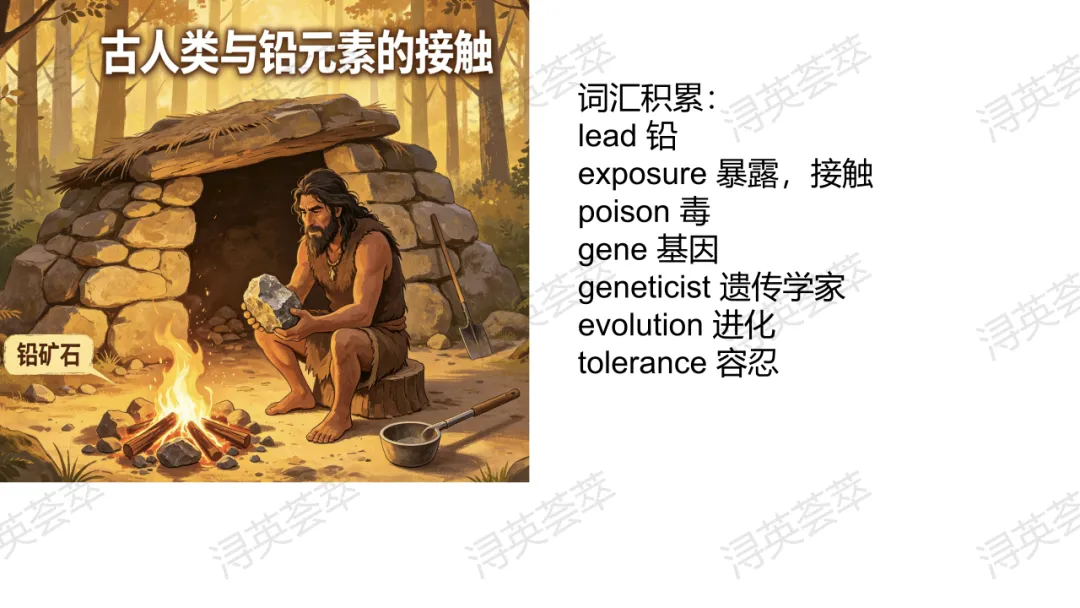 2026年九江二模试卷讲评课例分享 第12张