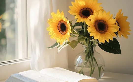 专注小学数学丨习题+试卷持续更新 第1张