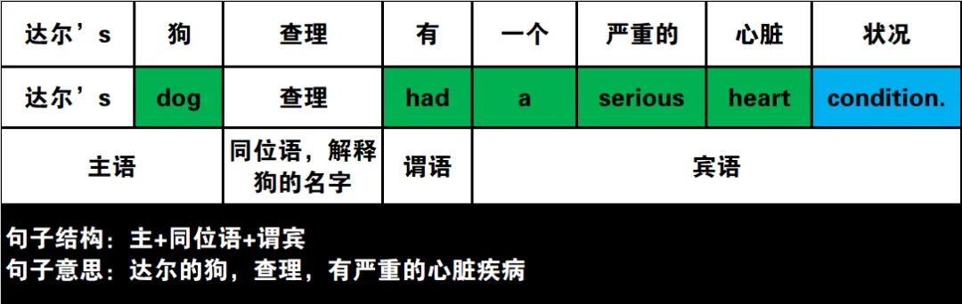 2024年高考英语试卷(新课标Ⅰ卷)阅读2:B 第13张