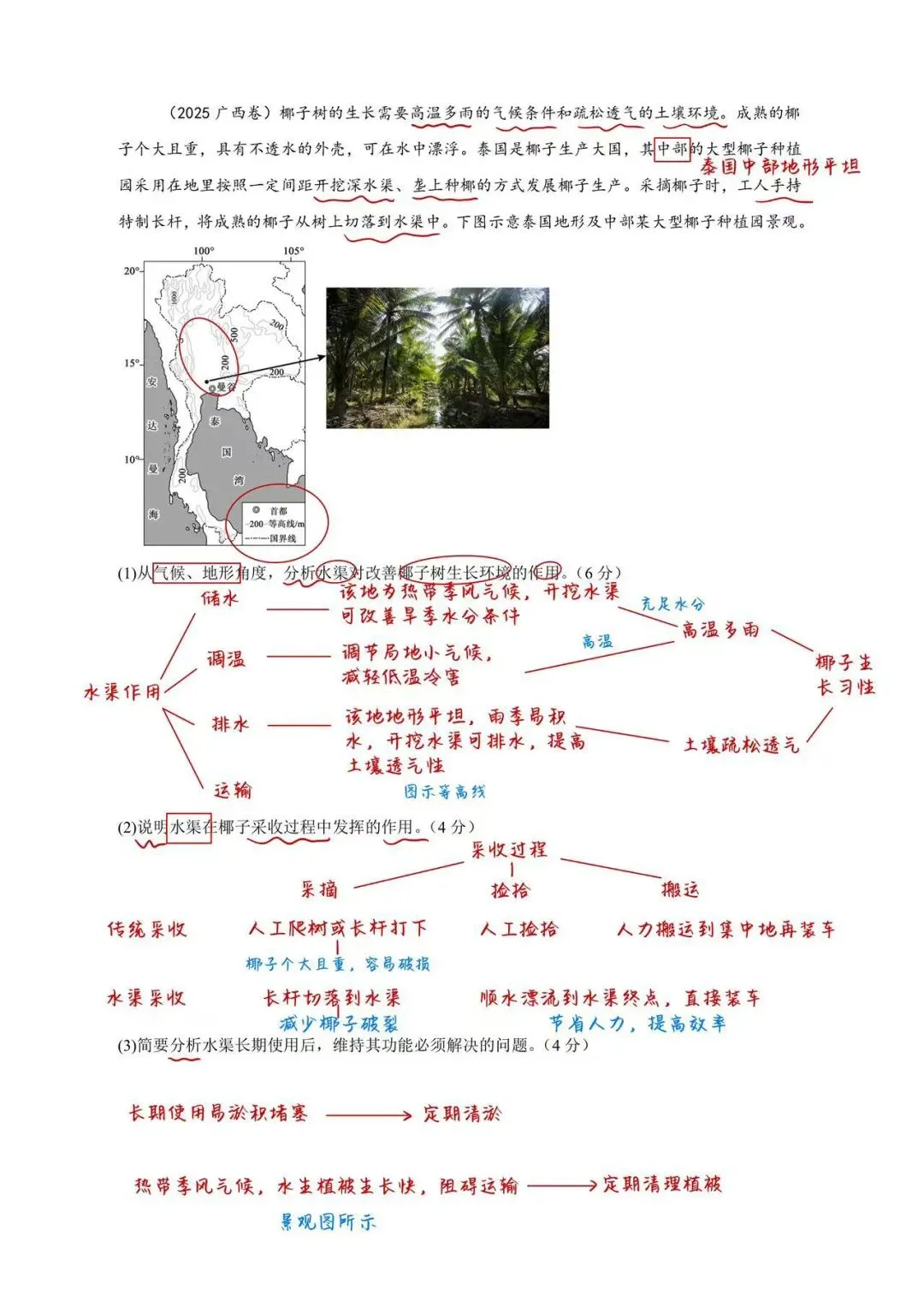真题解析|2025广西卷水渠椰子 第2张