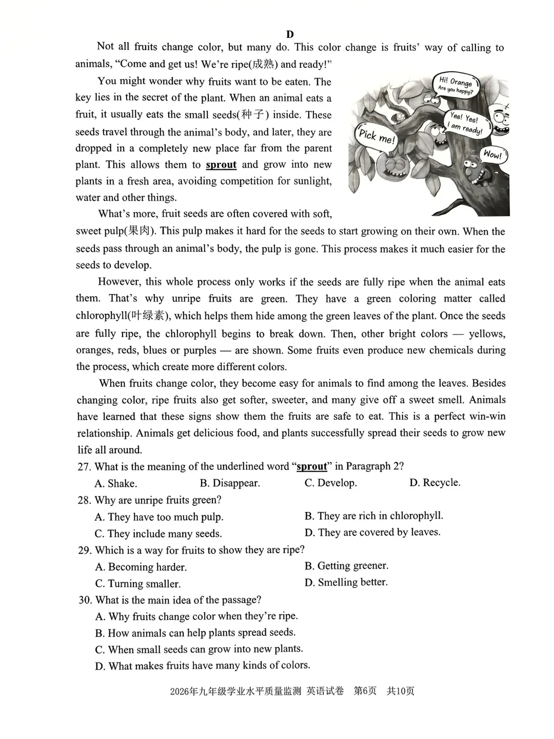 【26浙江中考】2604宁波一模英语试卷&答案&听力4.23-4.24 第19张