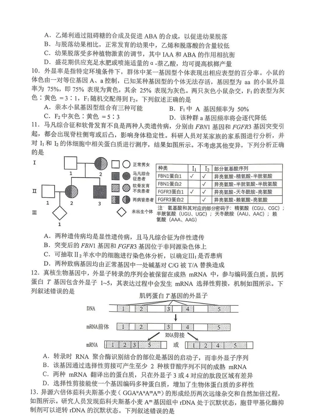 全!2026合肥高三二模试卷及答案 第3张