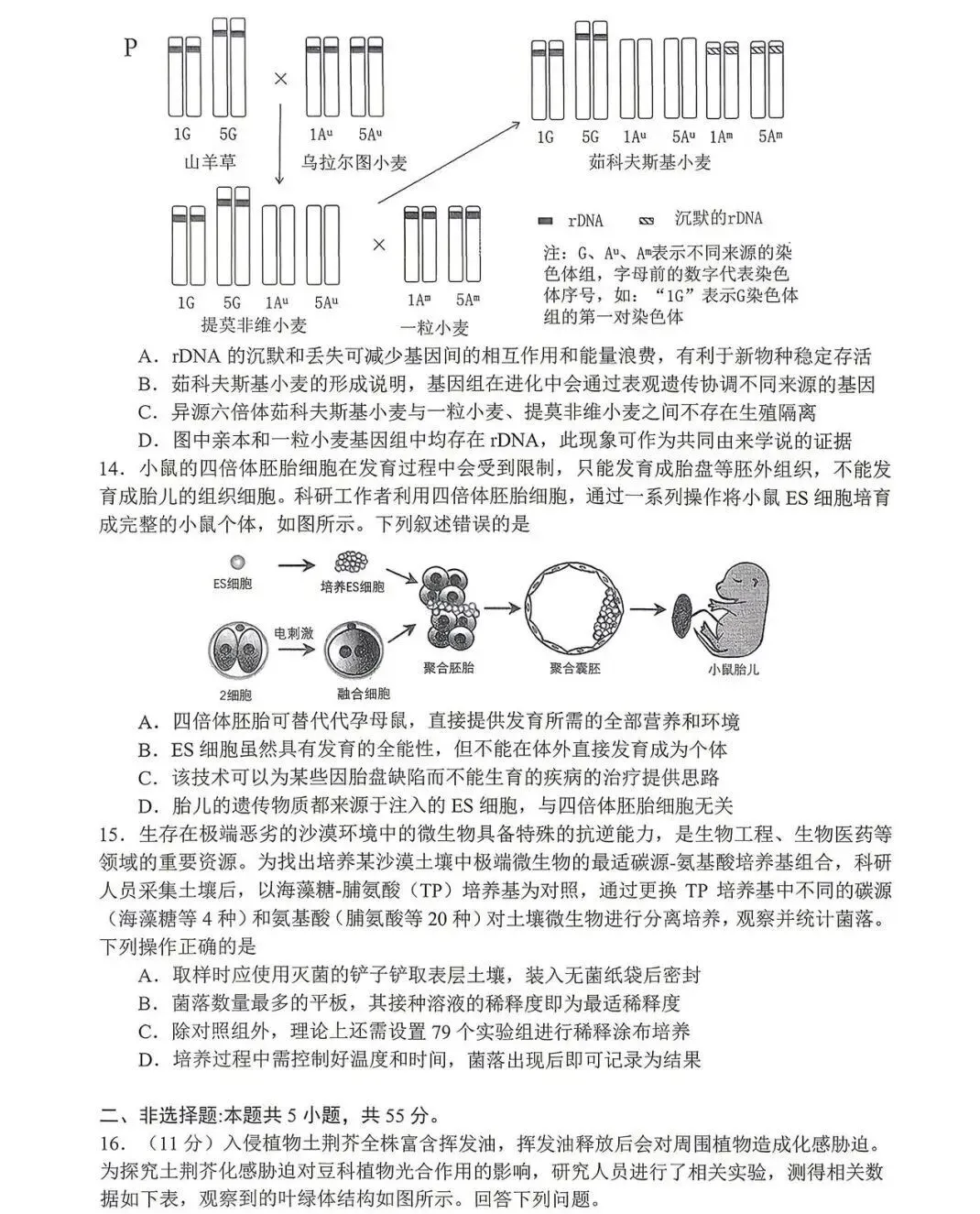 全!2026合肥高三二模试卷及答案 第4张