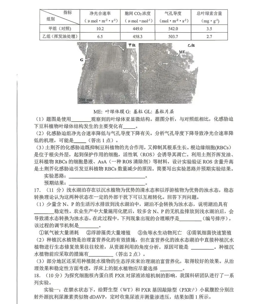 全!2026合肥高三二模试卷及答案 第5张