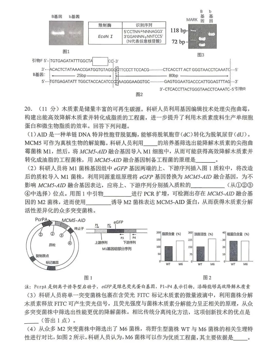 全!2026合肥高三二模试卷及答案 第6张