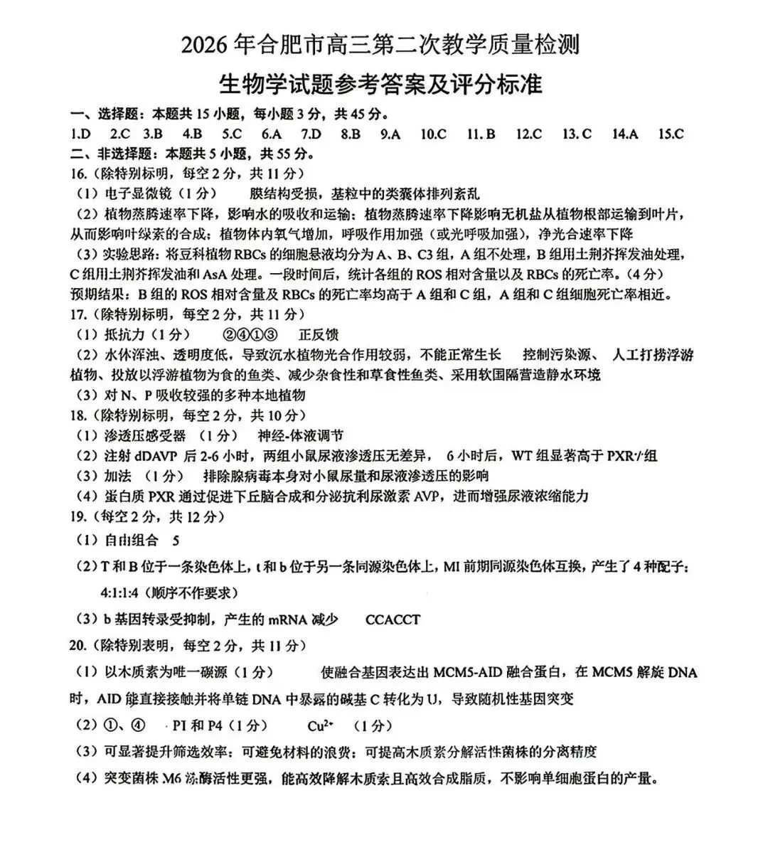 全!2026合肥高三二模试卷及答案 第7张