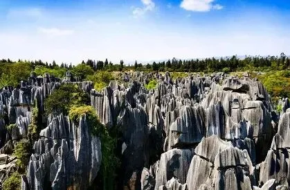 冲刺提分真题练——考点22 自然地理实践的基本方法(原卷版) 第13张