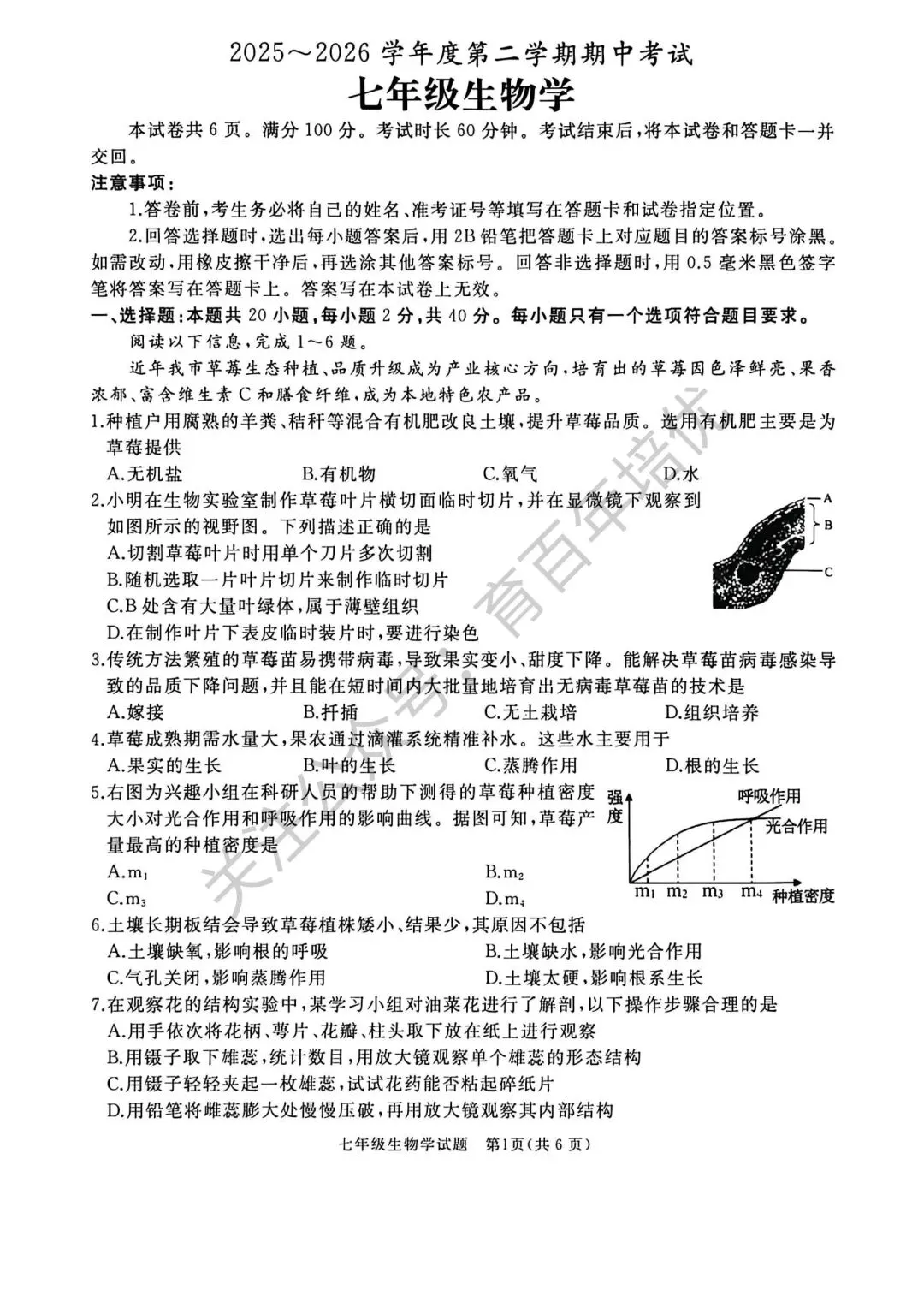 2026年滕州市七年级下学期期中考试真题含答案(语数英地生政史) 第35张