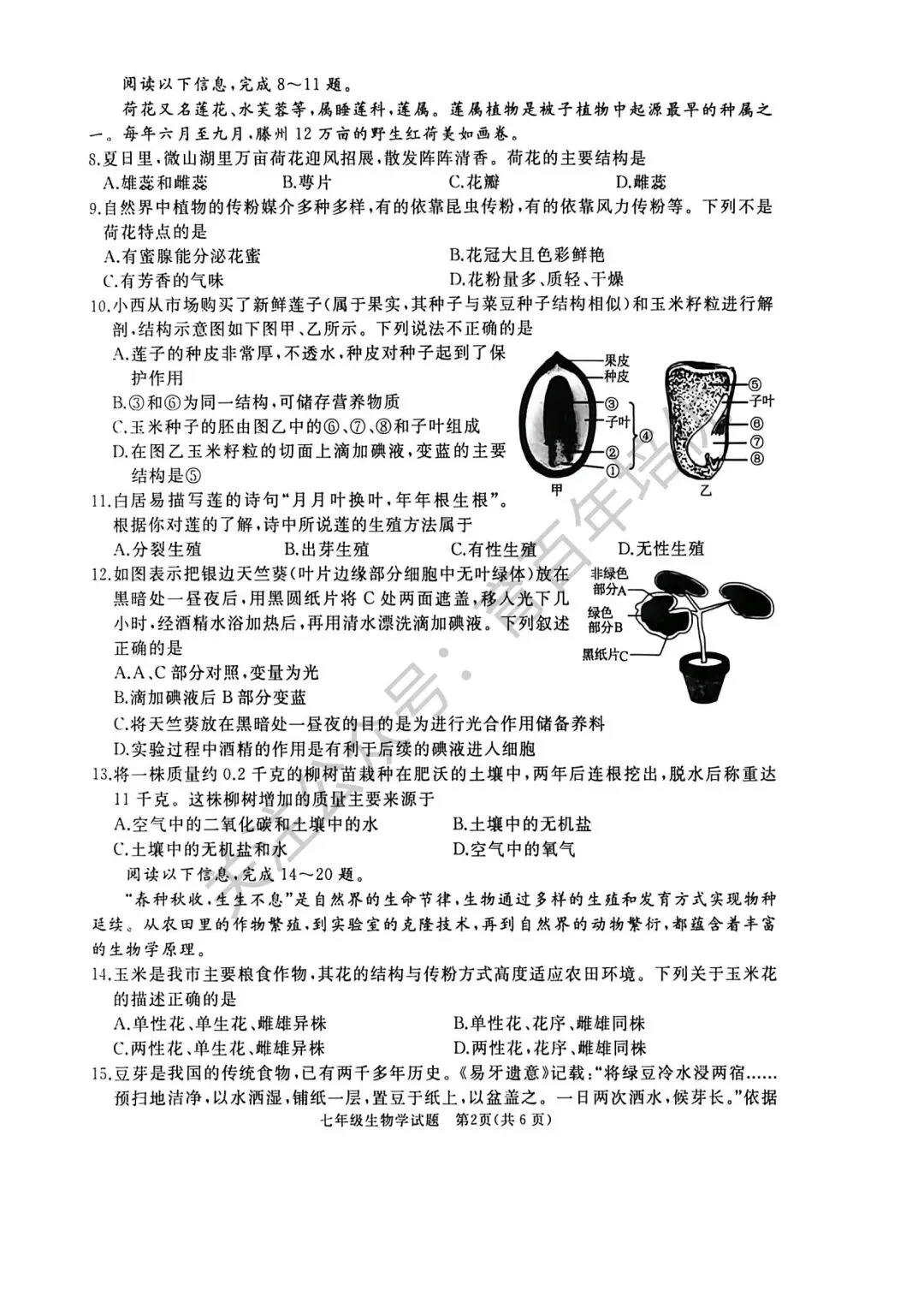 2026年滕州市七年级下学期期中考试真题含答案(语数英地生政史) 第36张