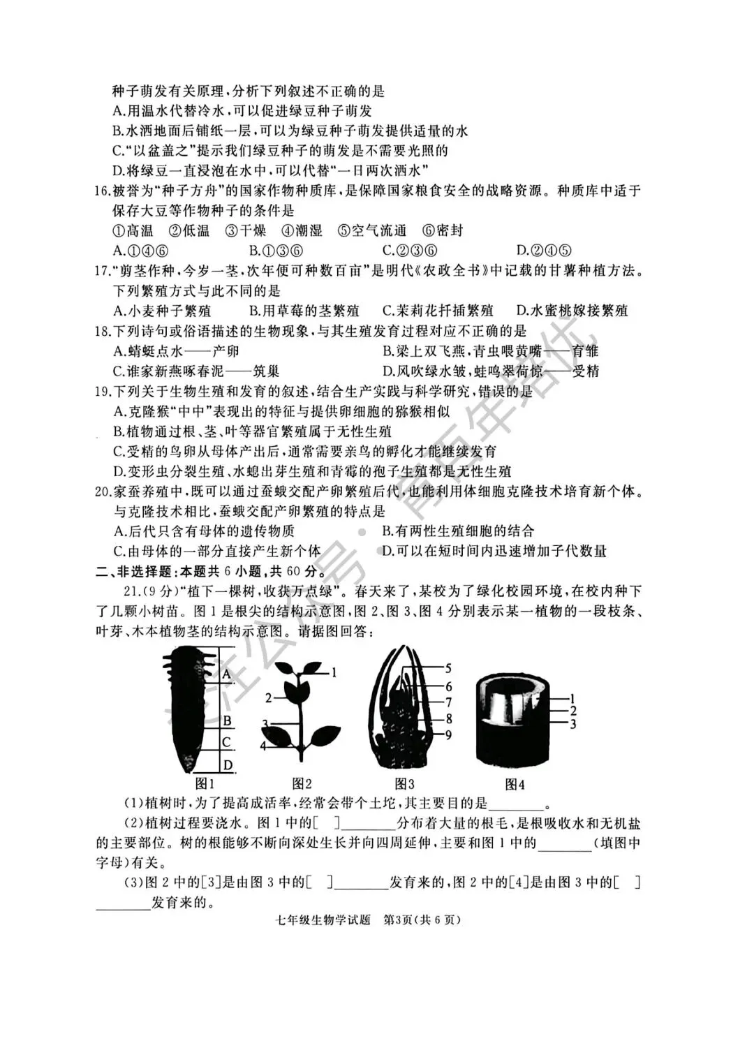 2026年滕州市七年级下学期期中考试真题含答案(语数英地生政史) 第37张