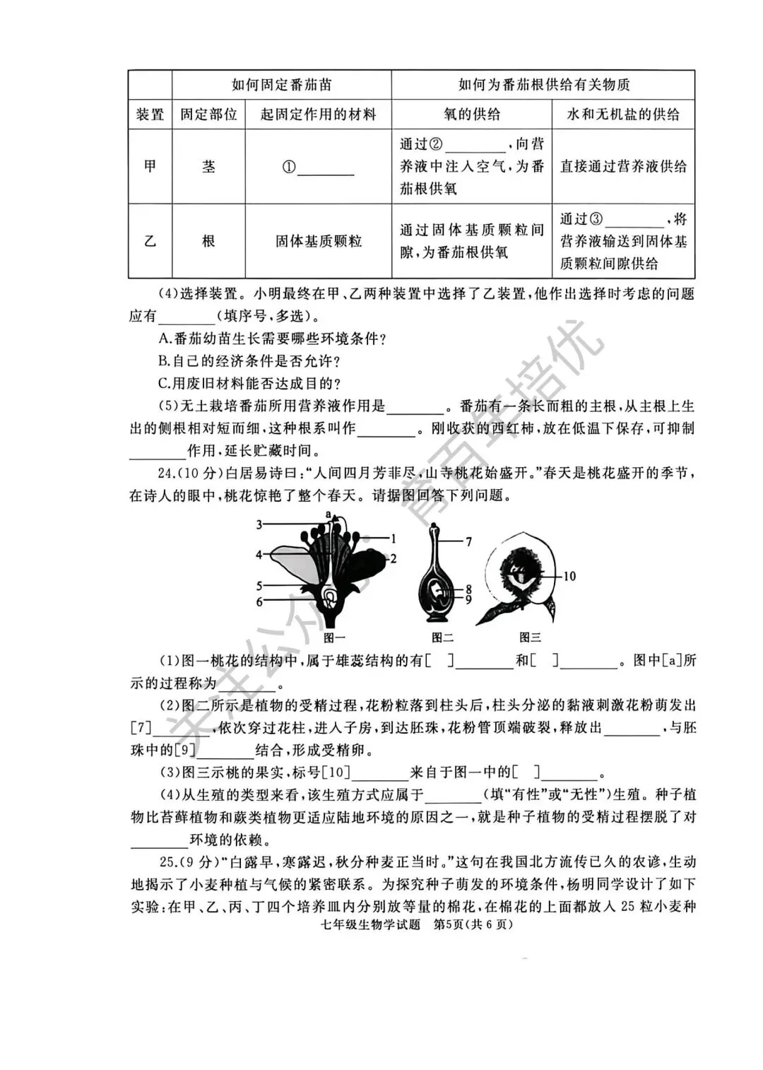 2026年滕州市七年级下学期期中考试真题含答案(语数英地生政史) 第39张