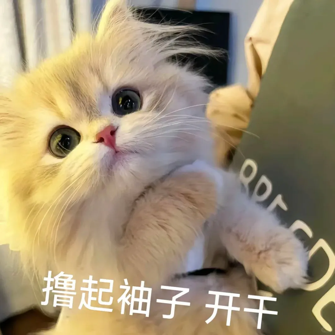 历史学四月模拟月考来啦 第2张