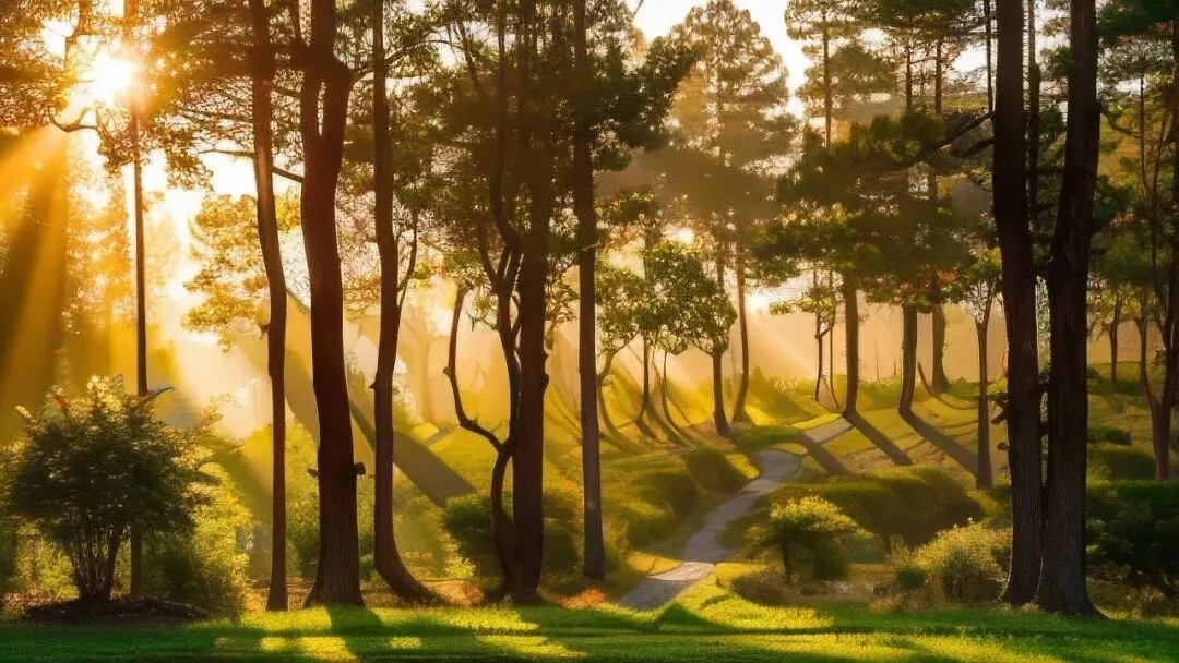 【中考阅读指导】追猎(贾月珍)黑龙江大庆2025 第7张