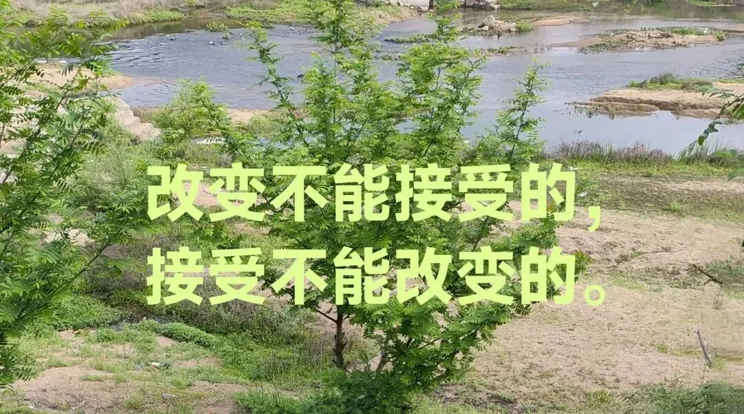 “淡人”王一博治愈了我中考期间曾经的焦虑 第3张