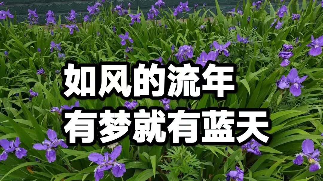 “淡人”王一博治愈了我中考期间曾经的焦虑 第4张