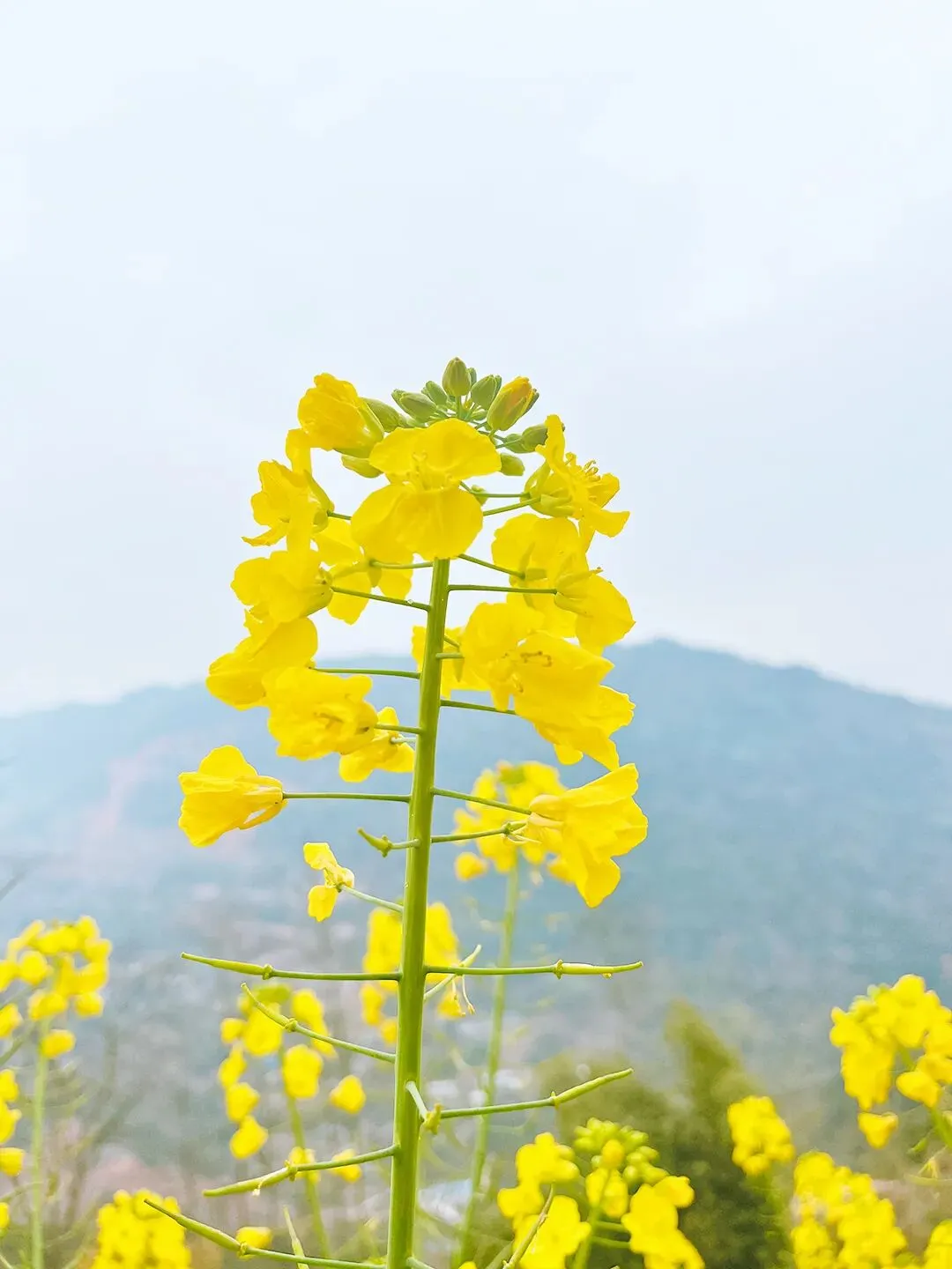 【高二各地试卷】湖北武汉市5G联合体2025-2026学年下学期期中高二数学+答案 第2张